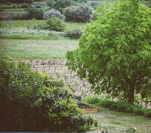 Domaine de Salente