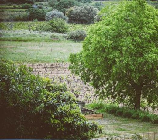 Domaine de Salente
