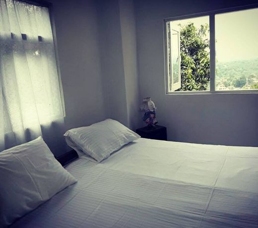 Mount view