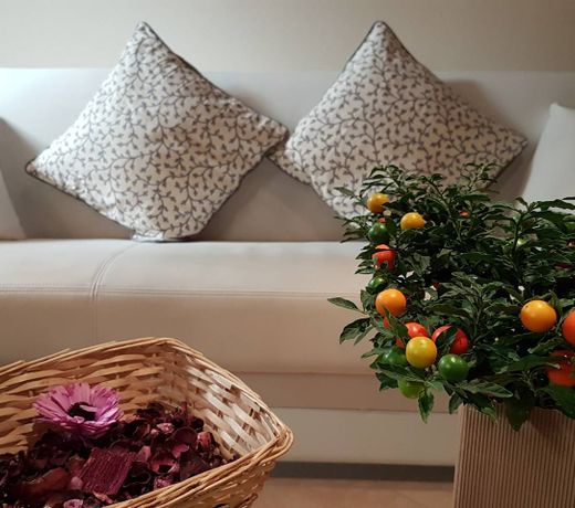 Veronetta lovely apartment