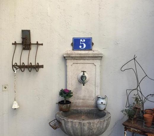 Les Passiflores