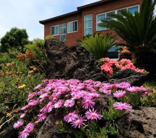 Ophir House