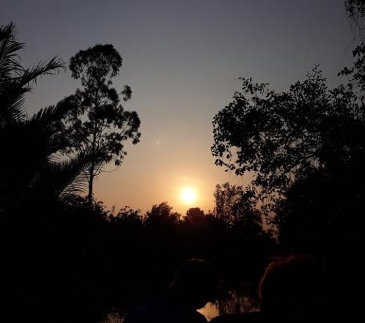 Dan Sinh Homestay