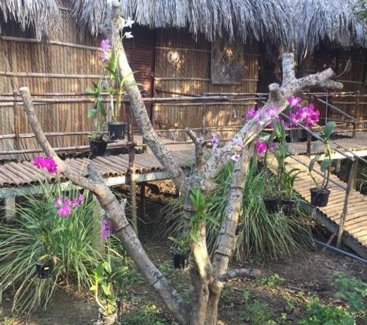 Dan Sinh Homestay