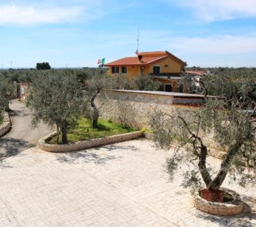 IL PETRARO