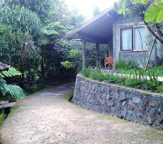 Sapulidi Cafe, Gallery & Resort