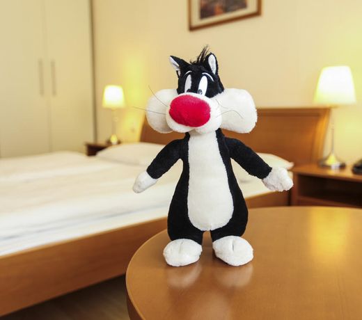 Hotel Orion