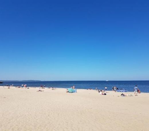 Apartament Wśród Drzew