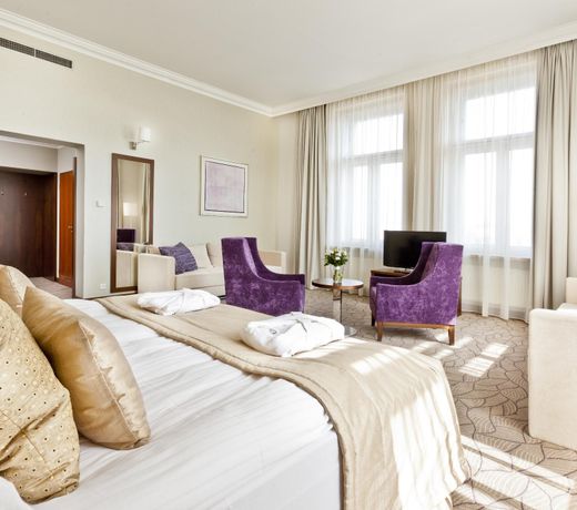 Hotel King David Prague