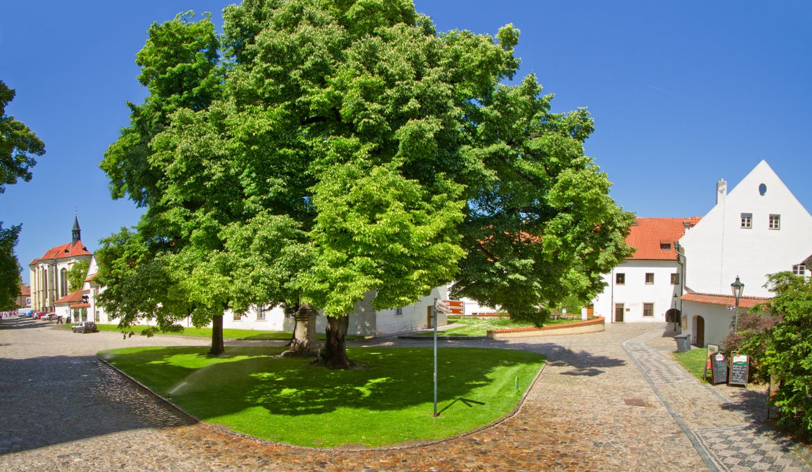 Hotel Monastery