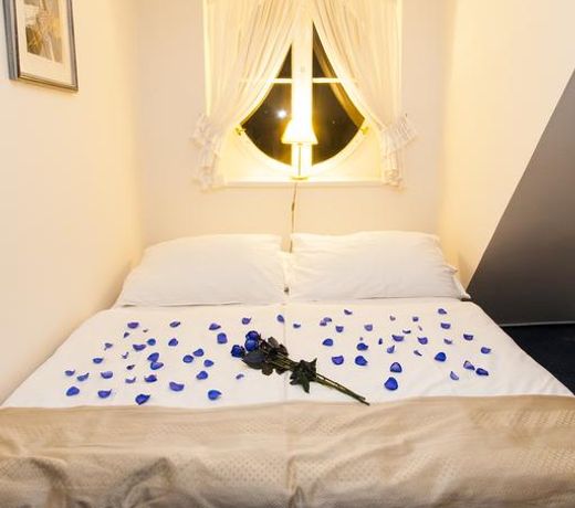 HOTEL MODRA RUZE