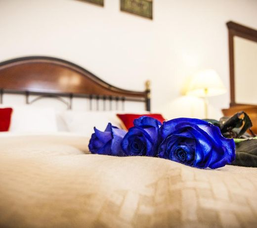 HOTEL MODRA RUZE