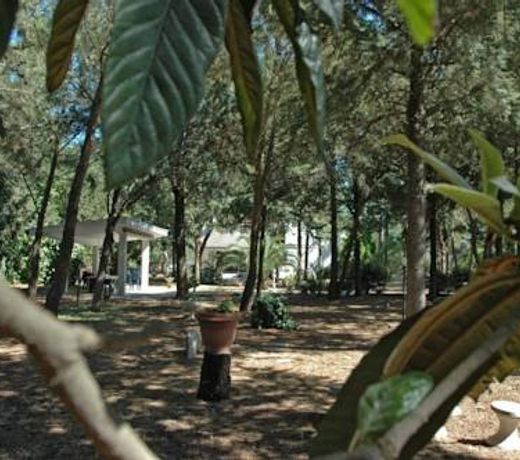 LA PINETA DI JOVIA
