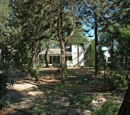 LA PINETA DI JOVIA