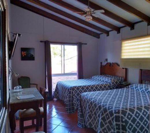Hotel Ave del ParaÃ­so