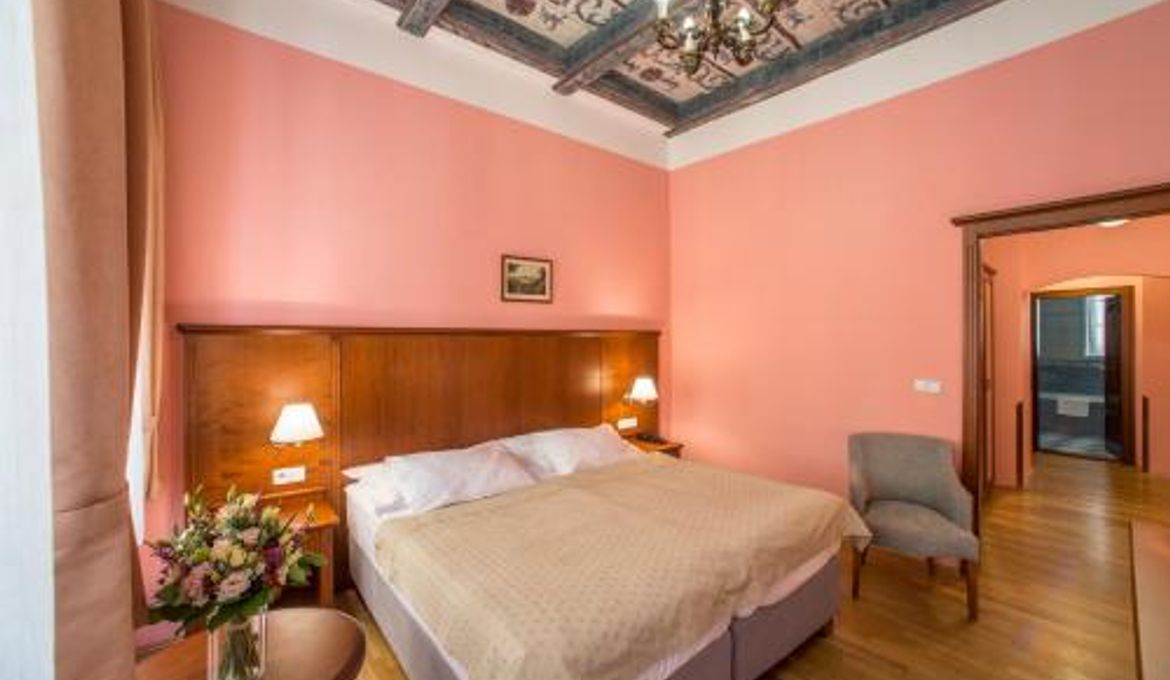 Hotel Cerny Slon