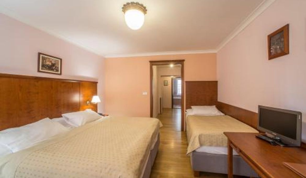 Hotel Cerny Slon