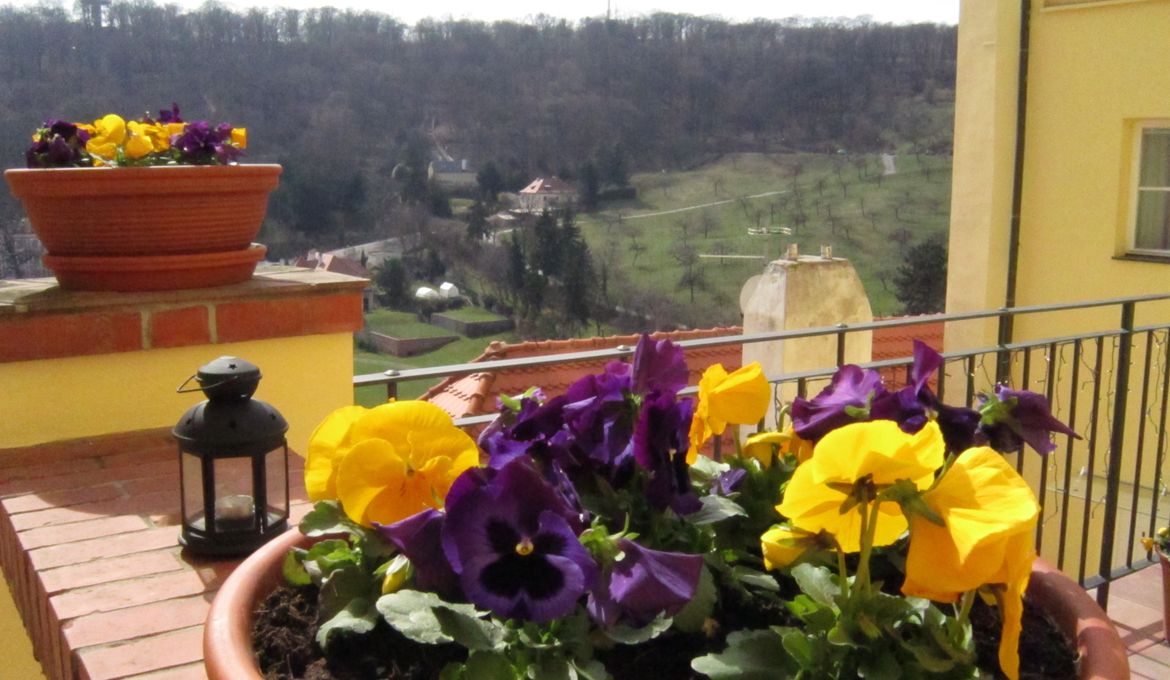Domus Henrici Boutique Hotel