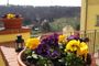Domus Henrici Boutique Hotel