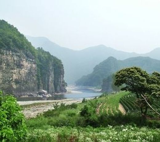 Nongam Jongtaek