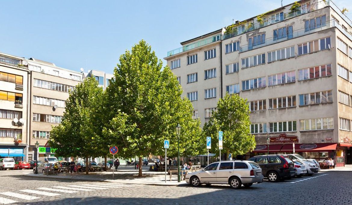 Lovely Prague Apartments - Truhlarska