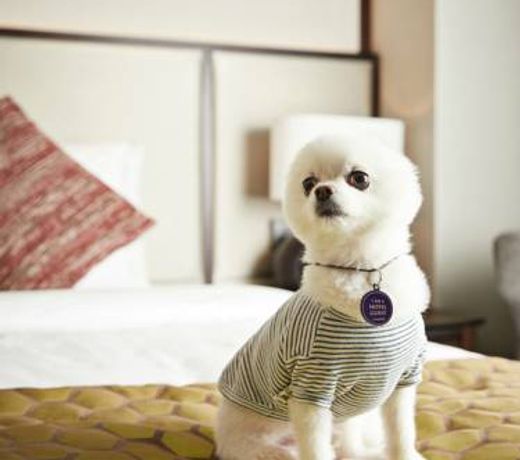 Grand Mercure Ambassador Hotel and Residences Seoul Yongsan