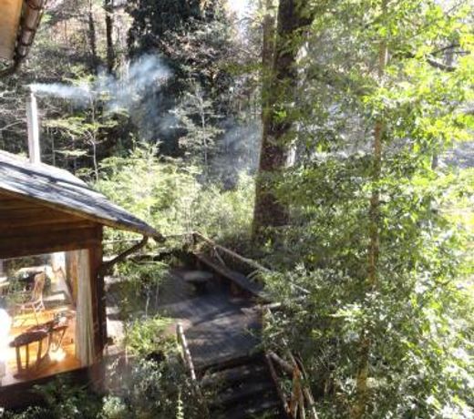 Linda CabaÃ±a en Reserva HuiloHuilo