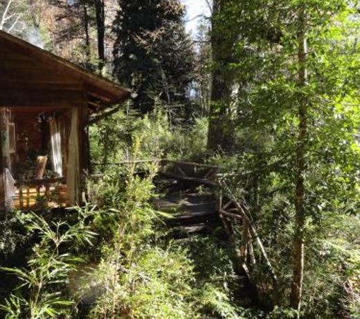 Linda CabaÃ±a en Reserva HuiloHuilo