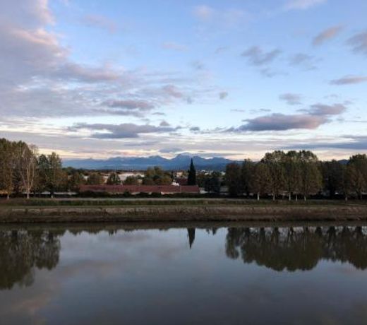 Belvedere