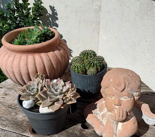 Jolie petite suite Côte d'Azur.