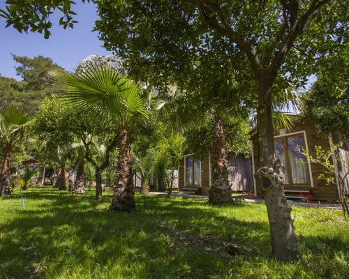 Likya Evleri Olympos - Adults Only - Олимпос - фото 7