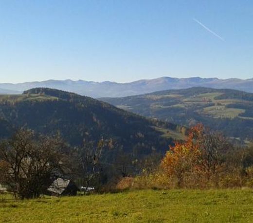 Chalet zur Schmiede