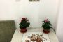 OldTown Little Hagia Sophia Suites