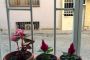 OldTown Little Hagia Sophia Suites