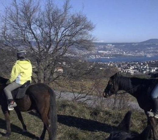 Na kmetiji s konji - PogelÅ¡ek