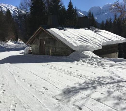 Fizhome Mt Blanc