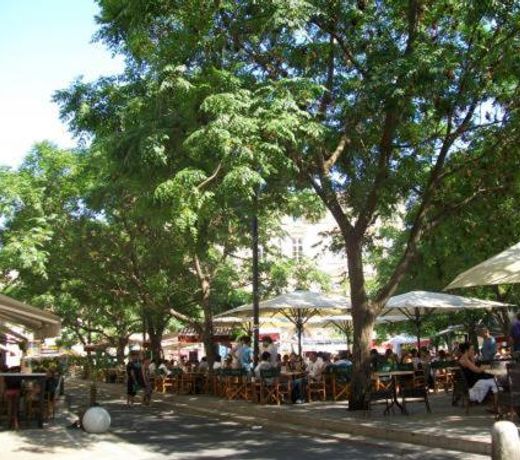 Comedie Terrasse PARKING OFFERT Clim Studio