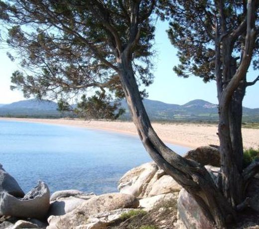 Case Vacanza Santa Teresa Gallura