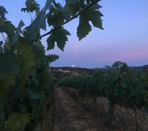 Teruzzi Country House