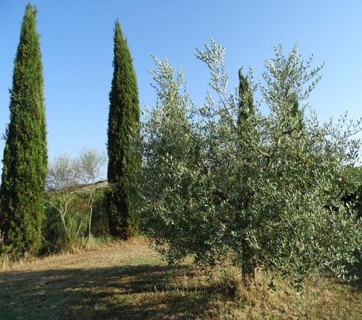 Teruzzi Country House