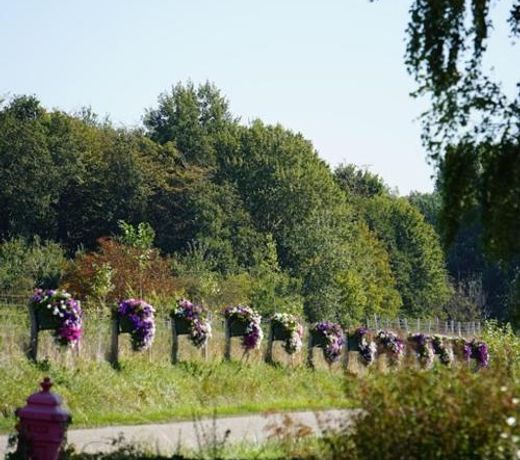 Vakantiehuis Rust in de onruste