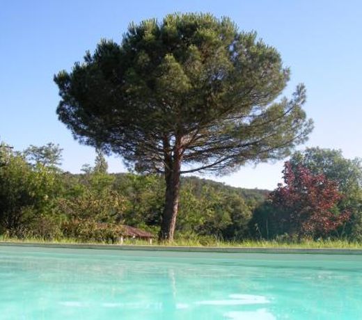 La Lauze