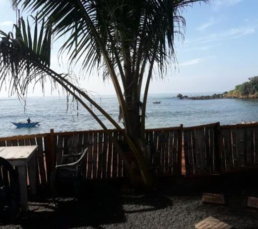 Seaside View
