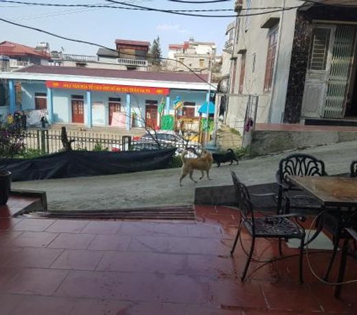Sapa Peaceful Hotel