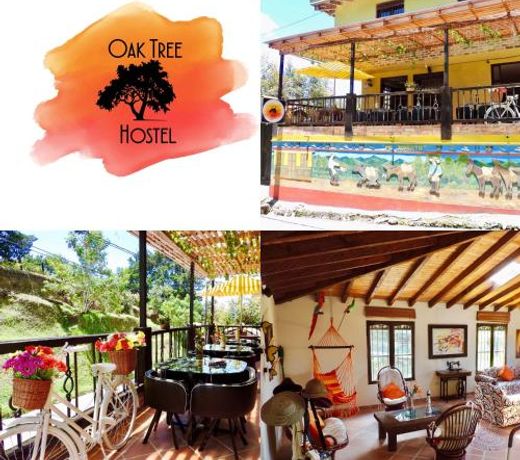 Oak Tree house