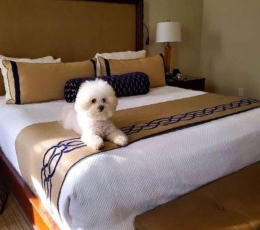 NOPSI Hotel New Orleans