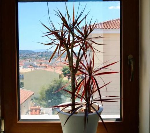 Villa Ariadne