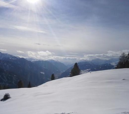 Apart Alpinea