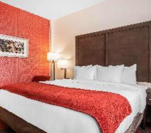 Comfort Inn & Suites near Stadium