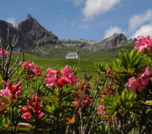 Bergspitz Luxury Appartement